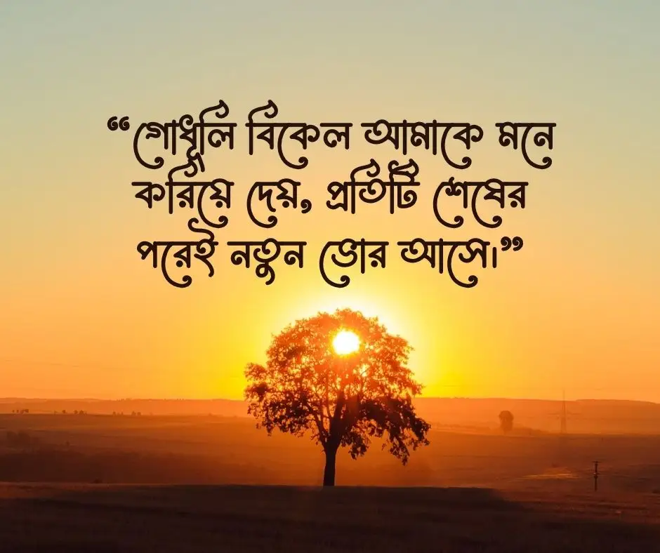 গোধূলি বিকেল নিয়ে ক্যাপশন