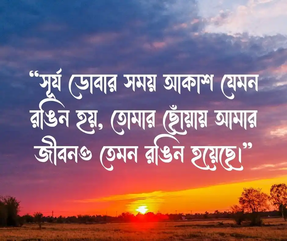 গোধূলি সন্ধ্যা নিয়ে উক্তি