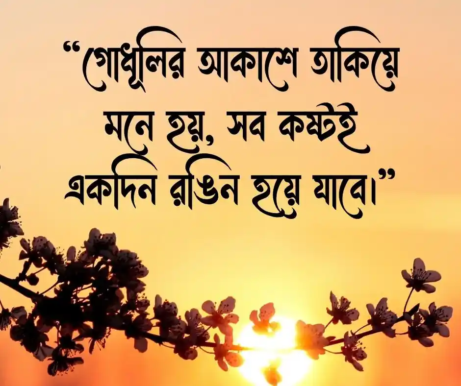 গোধূলি সন্ধ্যা নিয়ে ক্যাপশন