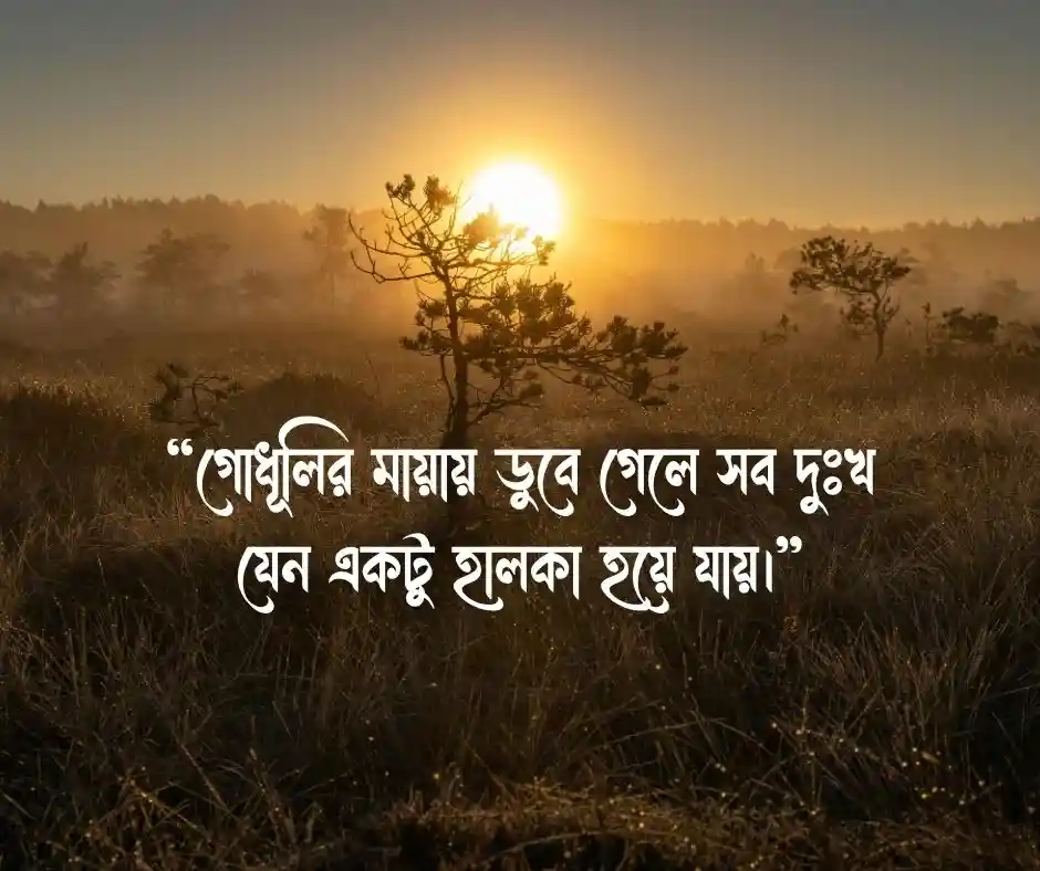 গোধূলি সন্ধ্যা নিয়ে ক্যাপশন