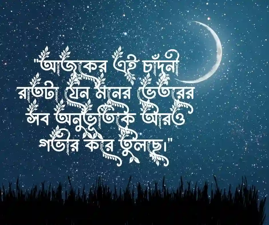 চাঁদনী রাত নিয়ে ক্যাপশন