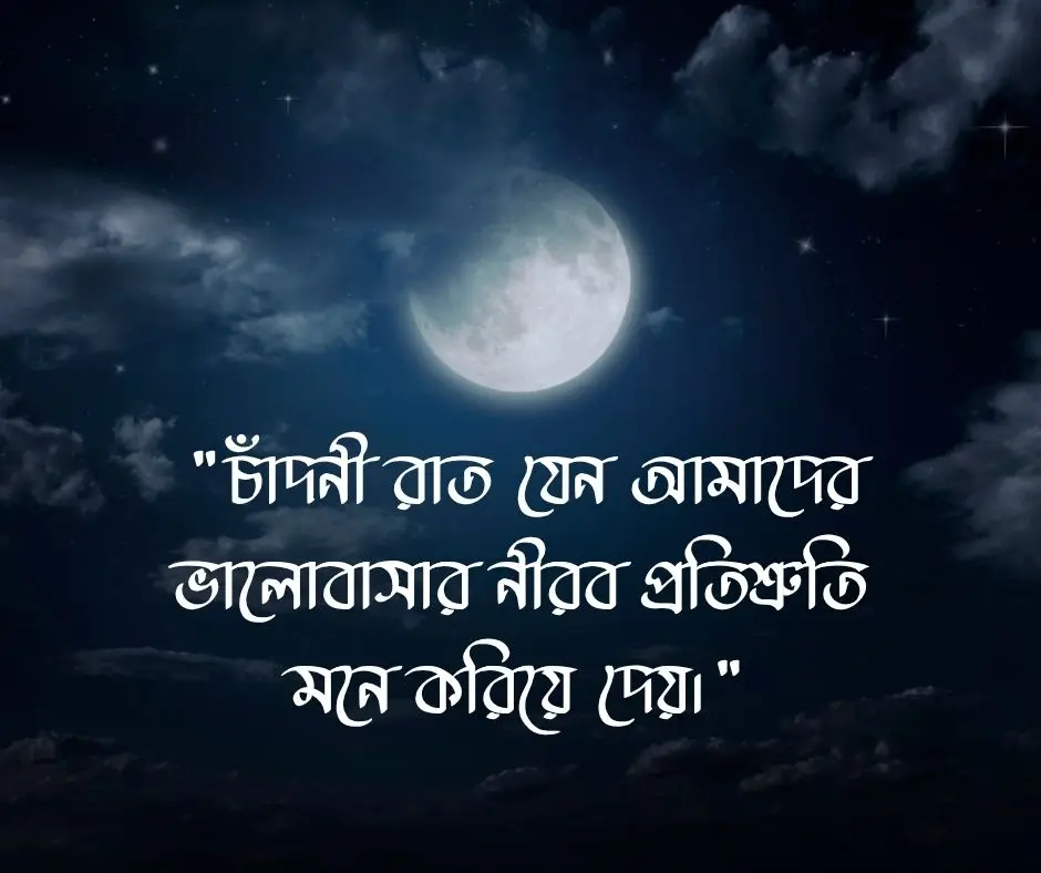 চাঁদনী রাত নিয়ে স্ট্যাটাস