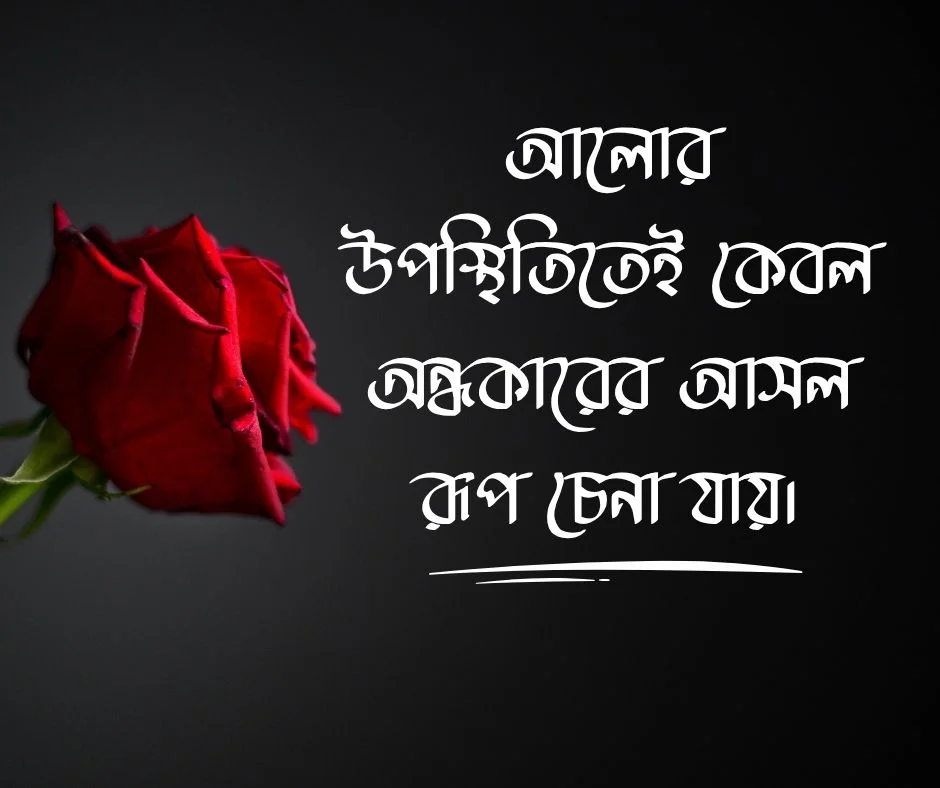 ছায়া নিয়ে ক্যাপশন