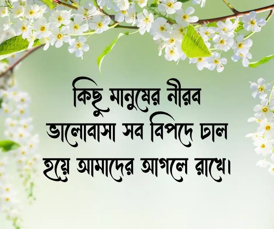 ছায়া নিয়ে স্ট্যাটাস