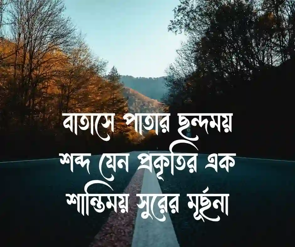 তাল গাছ নিয়ে ক্যাপশন