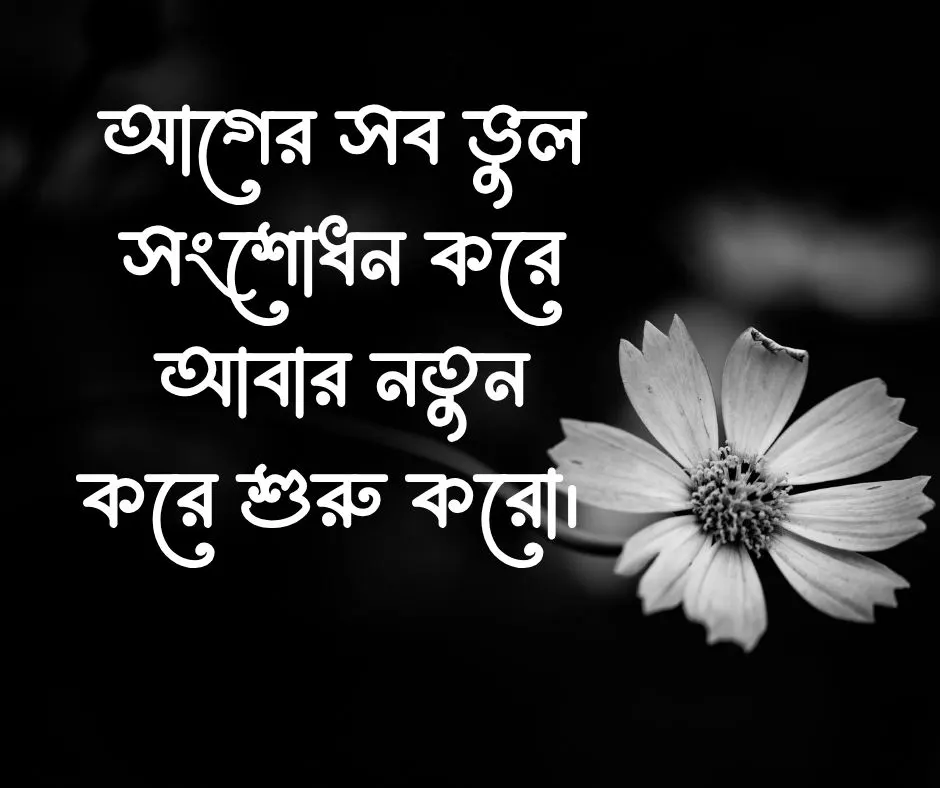 নতুন আশা নিয়ে উক্তি