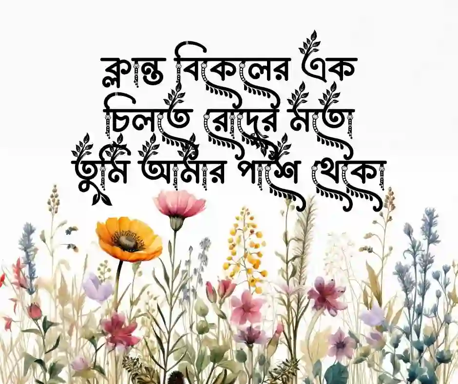 নতুন প্রেমের এসএমএস