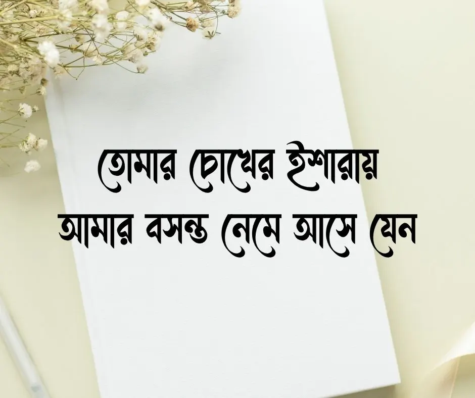 নতুন প্রেমের স্ট্যাটাস