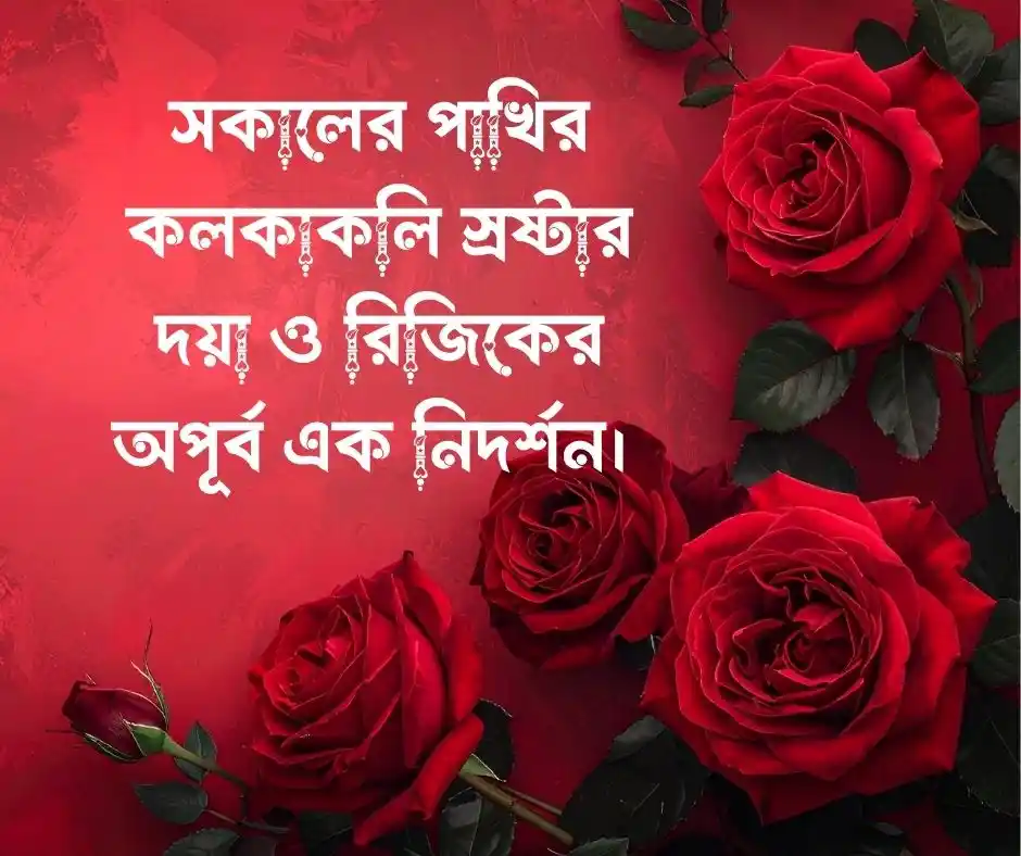 পাখি নিয়ে ইসলামিক ক্যাপশন