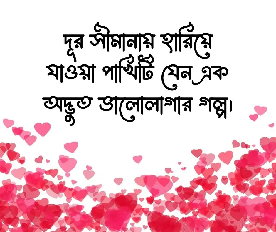 পাখি নিয়ে ক্যাপশন
