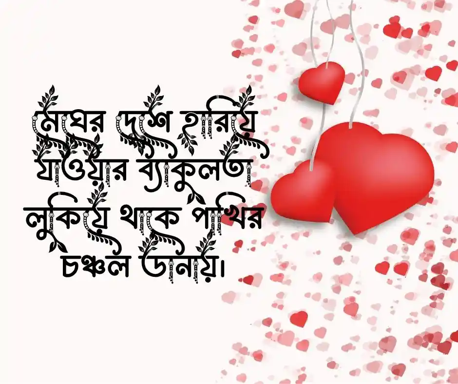 পাখি নিয়ে ক্যাপশন