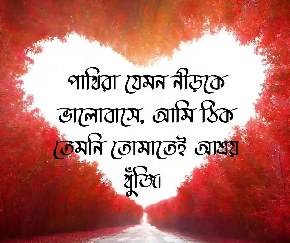 পাখি নিয়ে ভালোবাসার ক্যাপশন