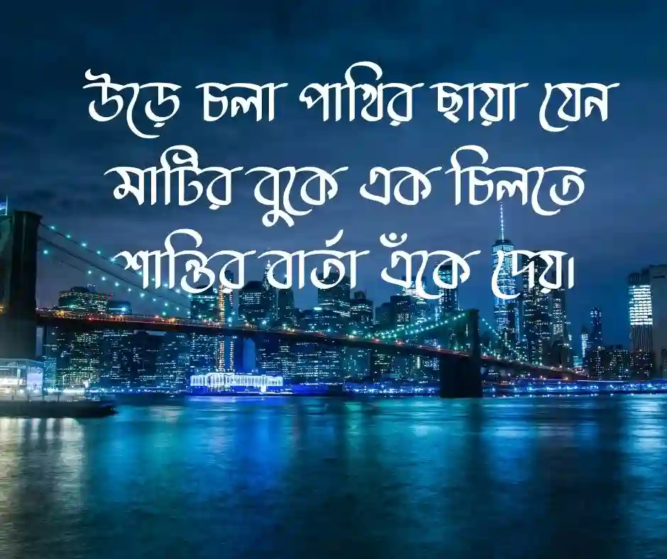 পাখি নিয়ে স্ট্যাটাস