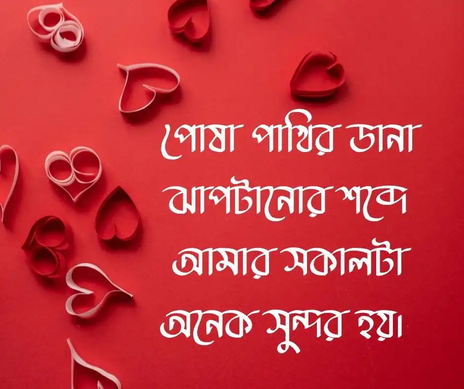 পোষা পাখি নিয়ে ক্যাপশন