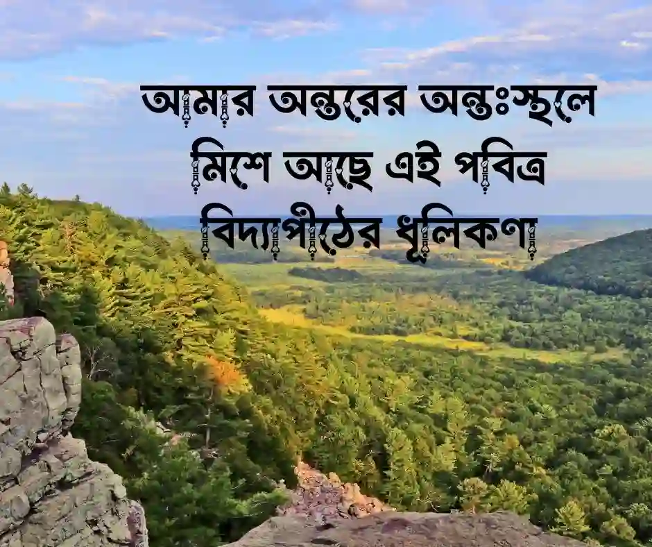 প্রিয় মাদ্রাসা নিয়ে ক্যাপশন