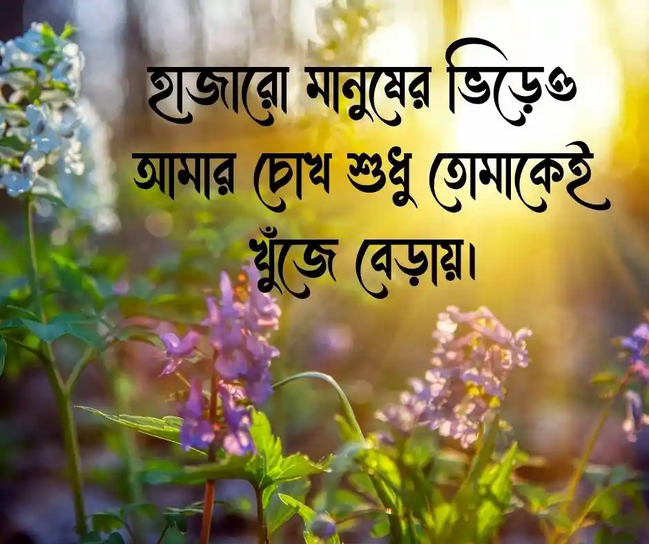 প্রিয় মানুষের ছায়া নিয়ে ক্যাপশন