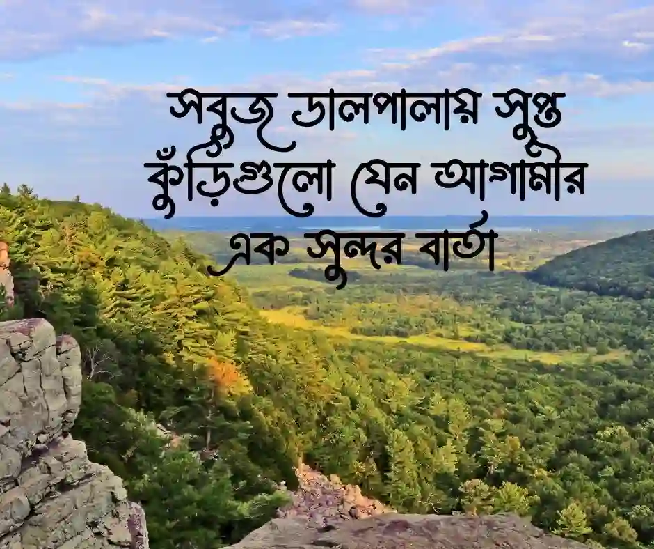 ফুল গাছ নিয়ে ক্যাপশন