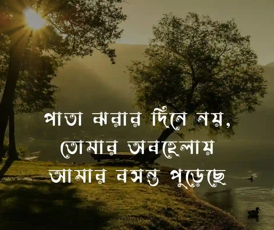 বসন্ত নিয়ে কষ্টের ক্যাপশন