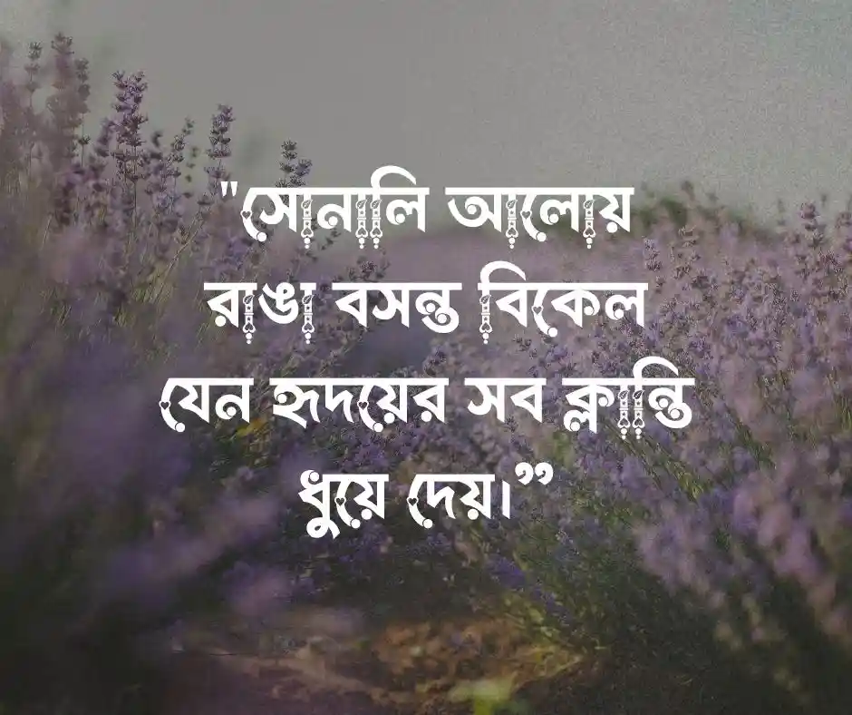 বসন্ত বিকেল নিয়ে ক্যাপশন