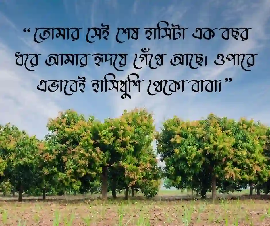 বাবার ১ম মৃত্যু বার্ষিকী স্ট্যাটাস