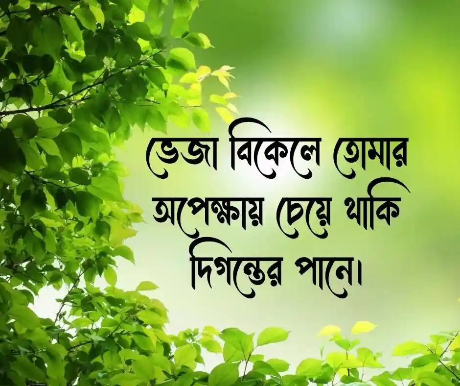 বৃষ্টি নিয়ে ক্যাপশন