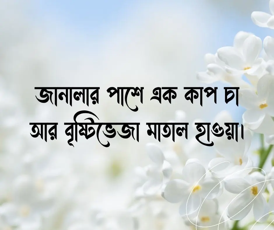 বৃষ্টি নিয়ে ক্যাপশন