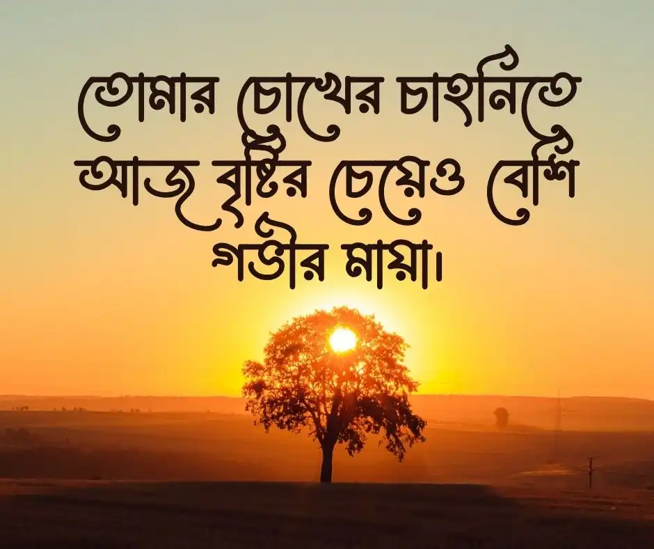 বৃষ্টি নিয়ে রোমান্টিক ক্যাপশন
