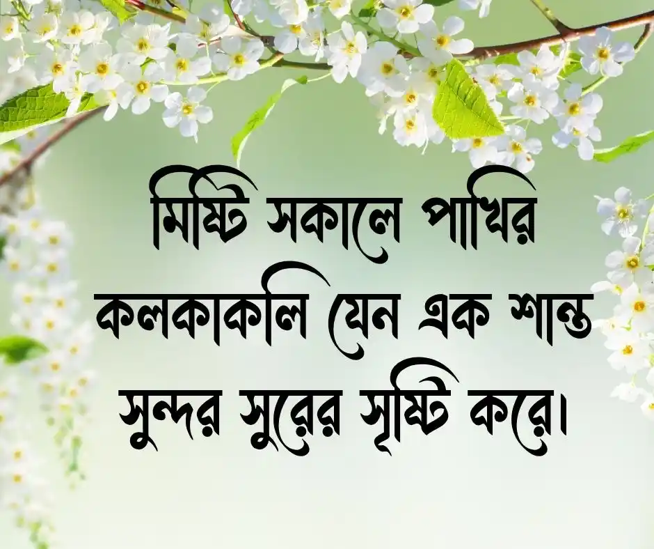 ভোরের পাখি নিয়ে ক্যাপশন