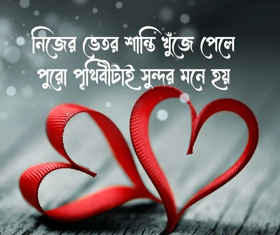 মনের আনন্দের স্ট্যাটাস