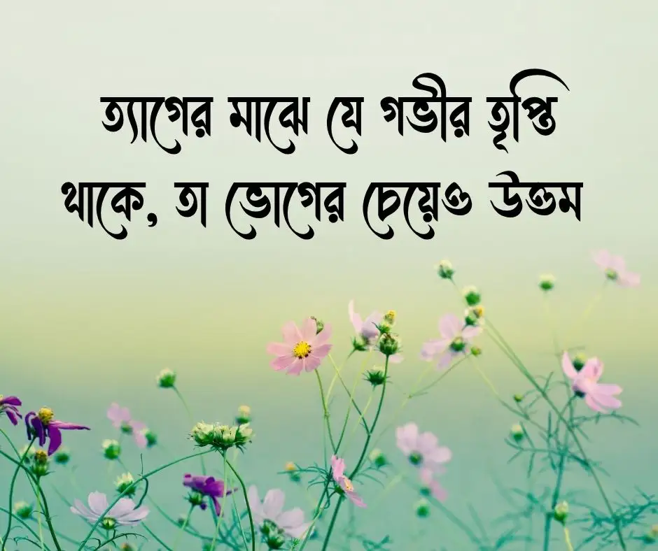 মনের আনন্দ নিয়ে উক্তি