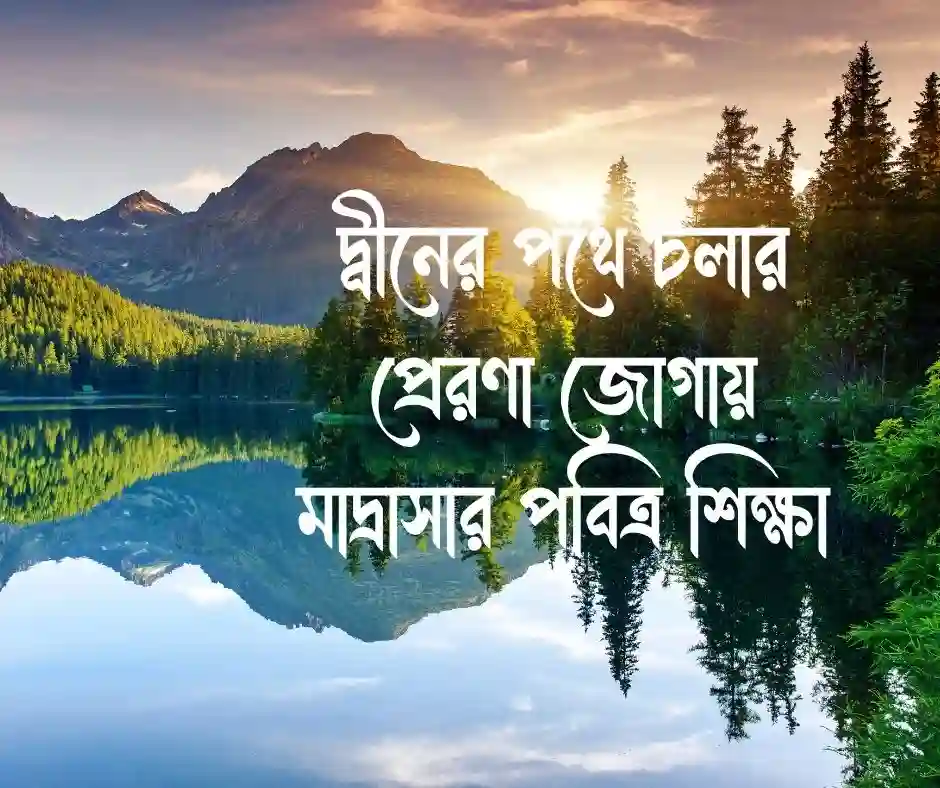 মাদ্রাসা নিয়ে স্ট্যাটাস