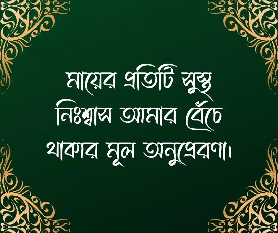 মায়ের সুস্থতা নিয়ে স্ট্যাটাস