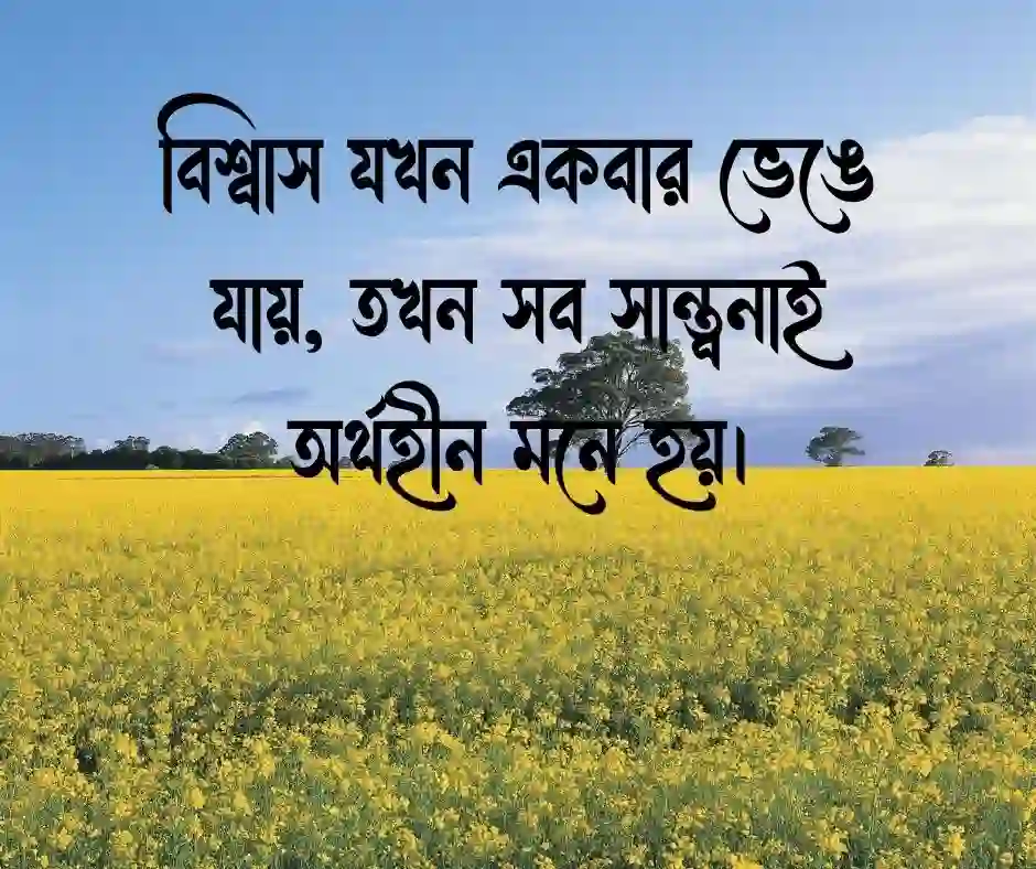 মিথ্যা আশা নিয়ে উক্তি