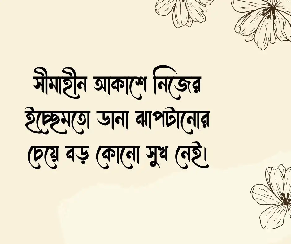 মুক্ত পাখি নিয়ে ক্যাপশন