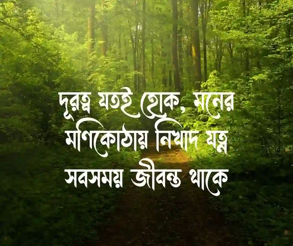 যত্ন নিয়ে উক্তি