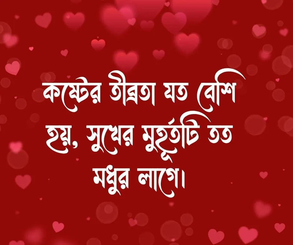 রোদ ছায়া নিয়ে ক্যাপশন
