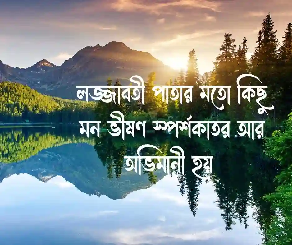 লজ্জাবতী গাছ নিয়ে ক্যাপশন