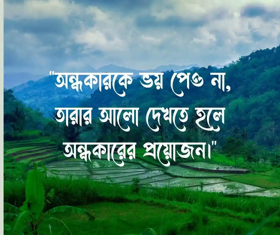 সাহস নিয়ে উক্তি
