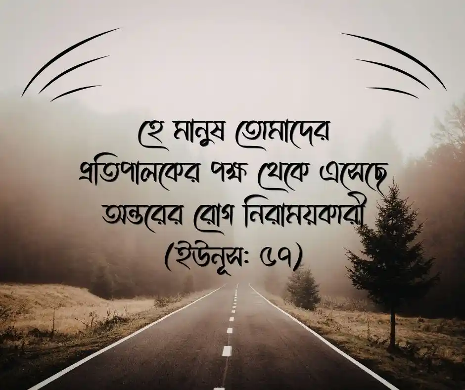 সুস্থতা নিয়ে কোরআনের আয়াত