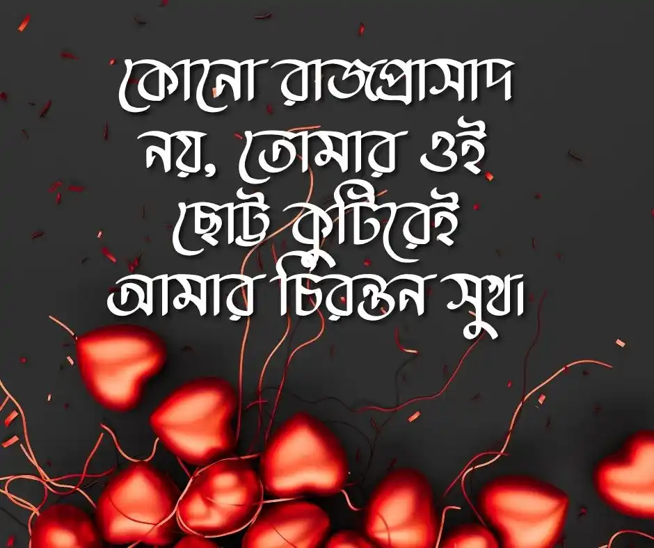 স্বামীকে নিয়ে ক্যাপশন বাংলা