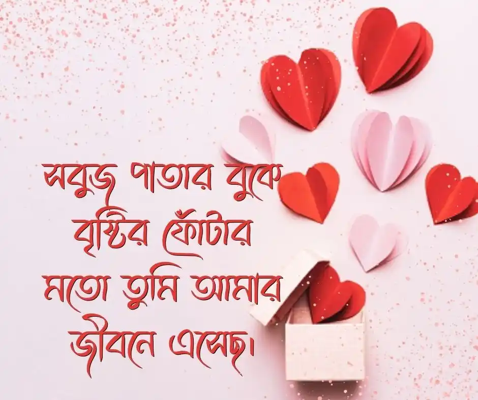 স্বামীকে নিয়ে ভালোবাসার ক্যাপশন স্বামীকে নিয়ে রোমান্টিক স্ট্যাটাস