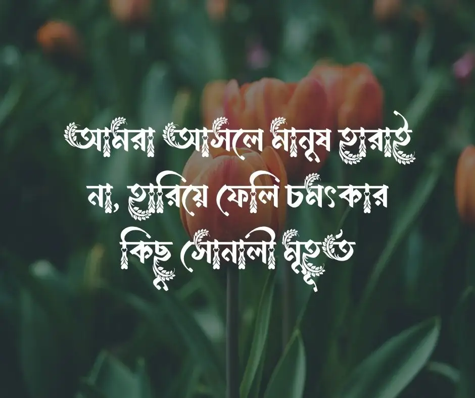 হারিয়ে যাওয়া সময় নিয়ে উক্তি
