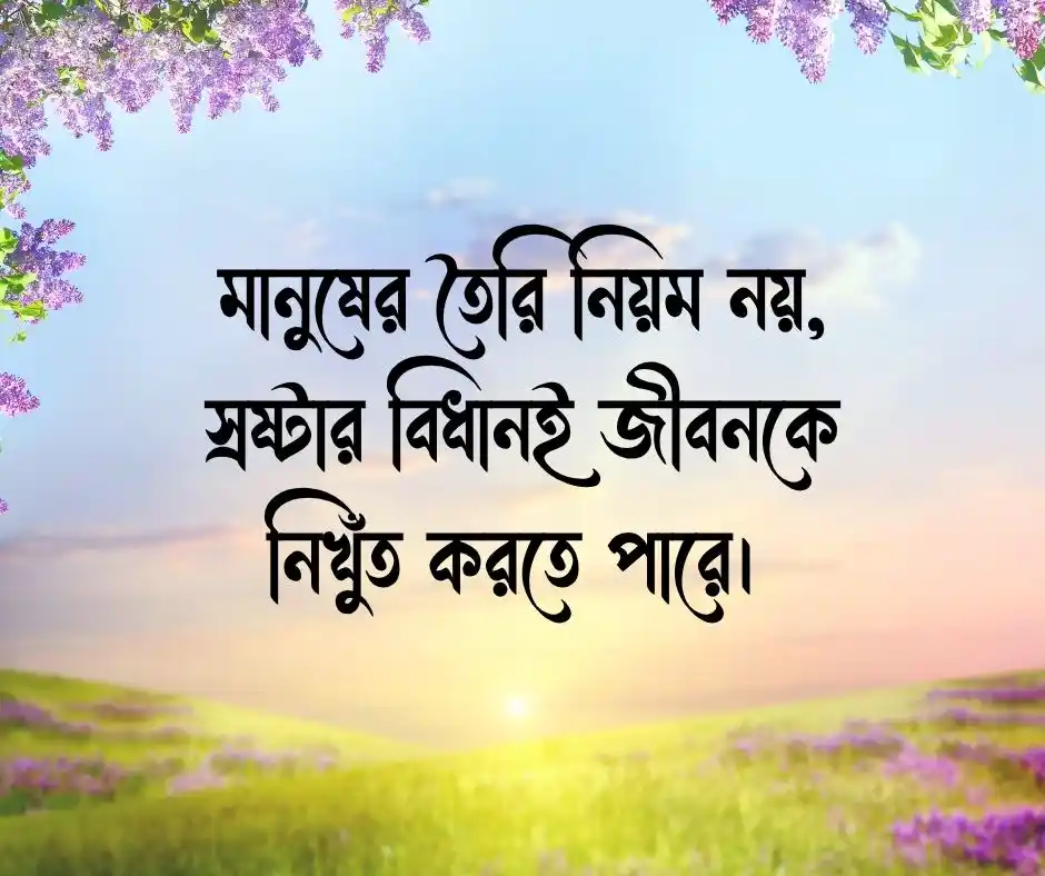 হেদায়েত নিয়ে উক্তি