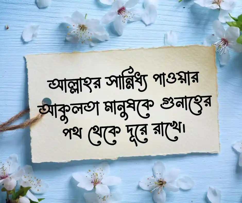 হেদায়েত নিয়ে স্ট্যাটাস