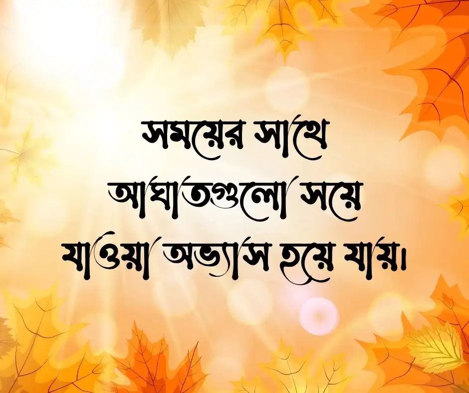 ক্যাপশন Caption