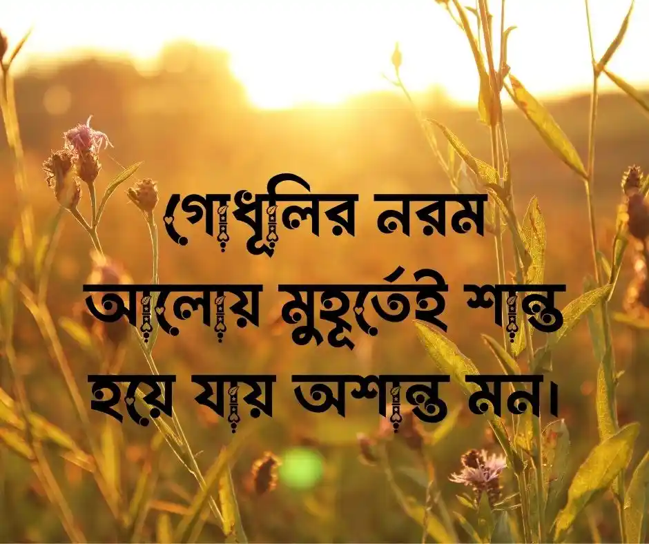 ক্যাপশন Caption