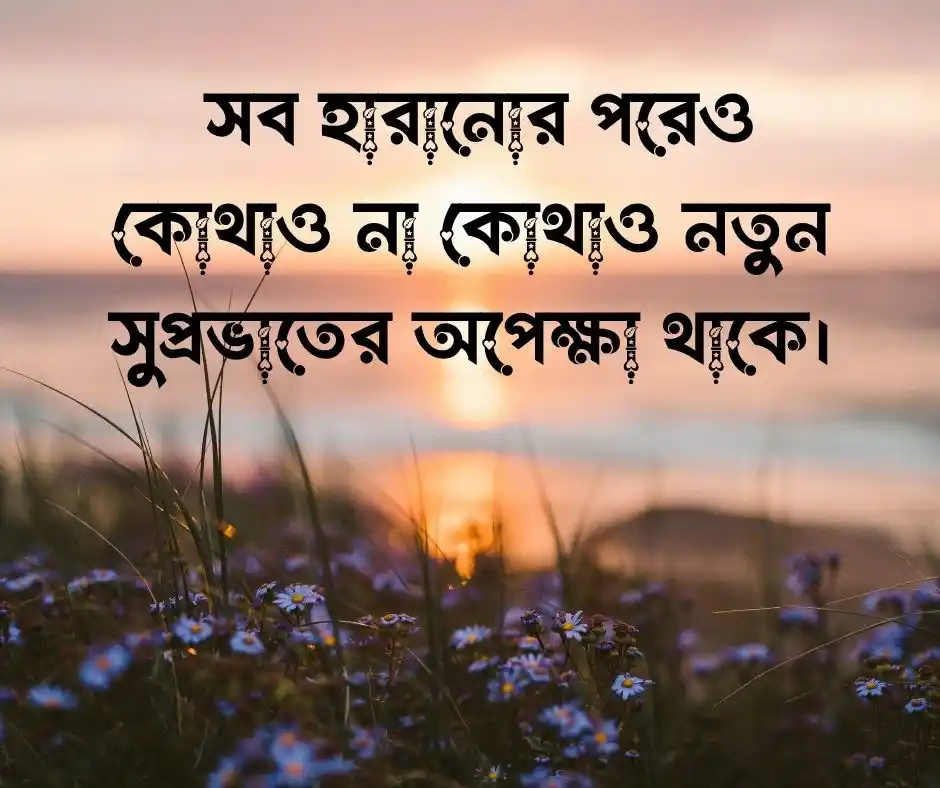 ক্যাপশন Caption