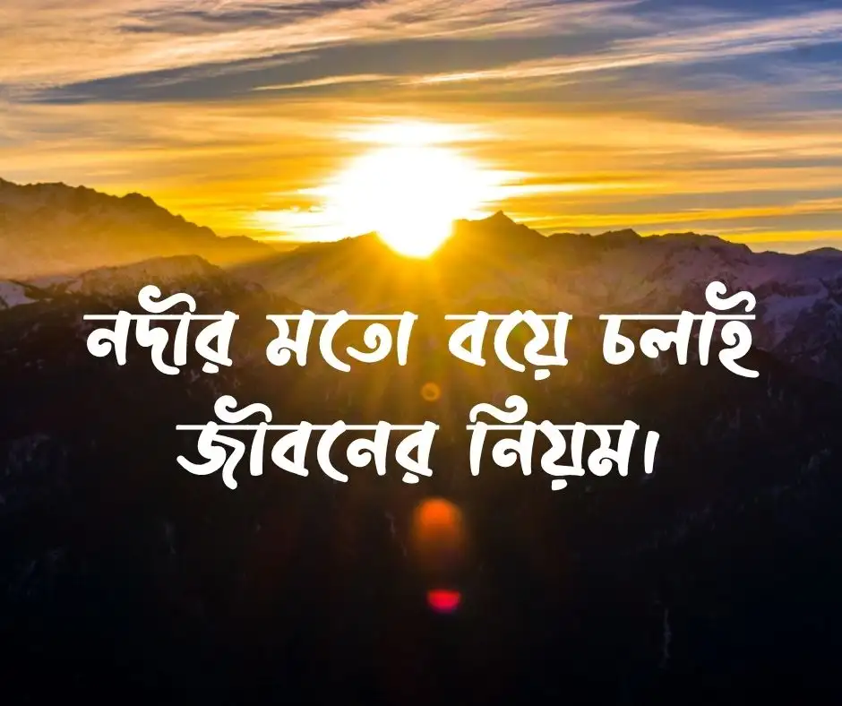 ক্যাপশন Caption