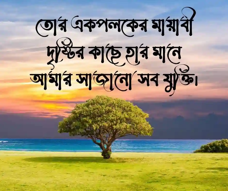 ক্যাপশন বাংলা Caption Bangla