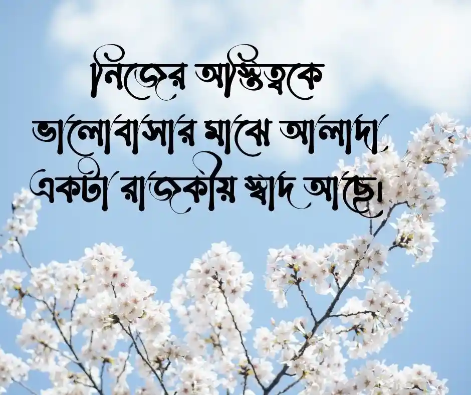 ফেসবুক ক্যাপশন Bangla Facebook Caption
